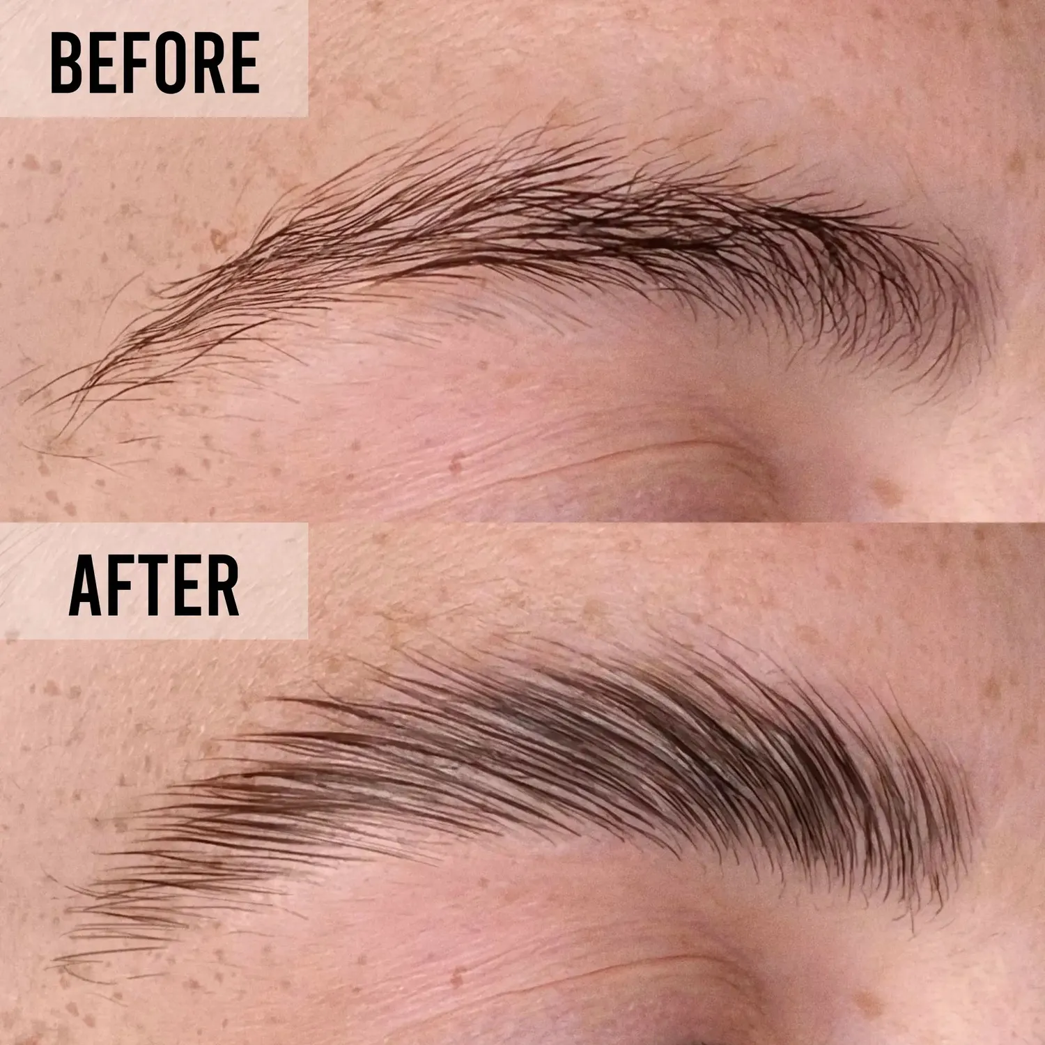BPerfect IndestructiBrow wenkbrauwwax 6g transparant