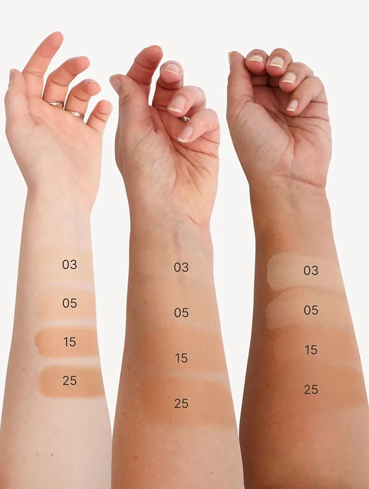 Blezi Natural Perfection foundation medium concealer