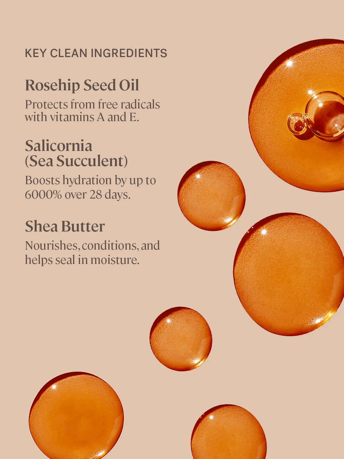 ILIA Beauty Balmy Tint lippenbalsem Lady 4,4 g